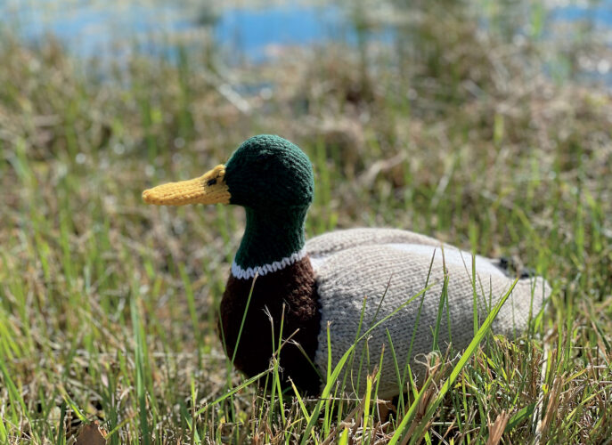 Knitted Duck Pattern